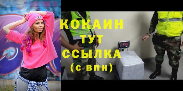 мяу мяу мука Коряжма