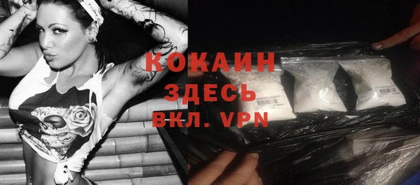 мяу мяу мука Коряжма