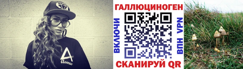 Псилоцибиновые грибы Magic Shrooms  продажа наркотиков  МЕГА онион  Динская 